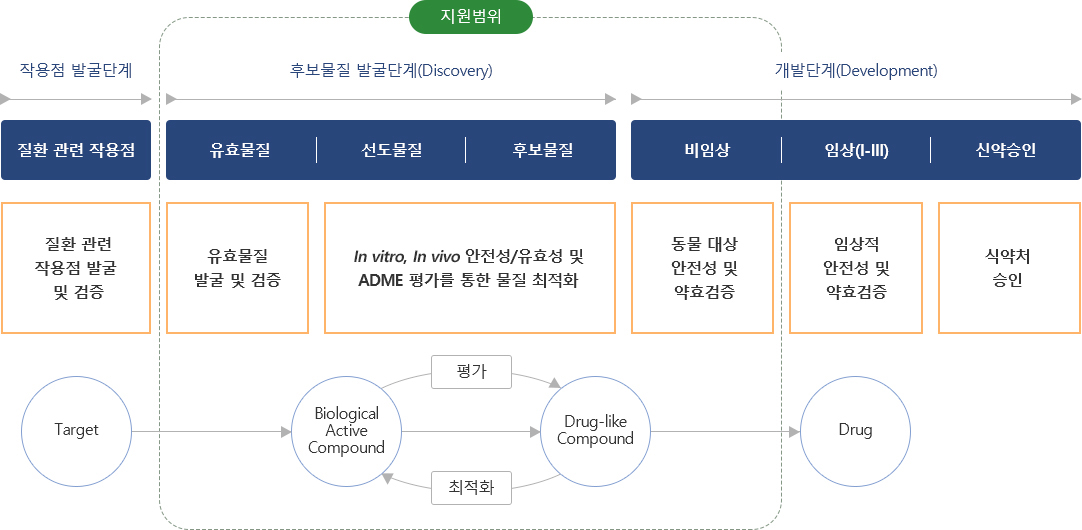1. 작용점 발굴단계 : 질환 관련 작용점(신약개발단계) - 질환 관련 작용점 발굴 및 검증(연구분야).
		2.후보물질 발굴단계(Discovery)[지원범위] : 유효물질(신약개발단계) - 유효물질 발굴 및 검증(연구분야) / 선도물질,후보물질(신약개발단계) - in vitro, in vivo 안전성과 유효성 및 ADME 평가를 통한 물질 최적화(연구분야).
		3. 개발단계(Development) : 비임상[지원범위](신약개발단계) - 동물 대상 안전성 및 약효검증(연구분야) / 임상(I-III)(신약개발단계) - 임상적 안전성 및 약효검증(연구분야) / 신약승인(신약개발단계) - 식약처승인(연구분야).
		Target - Biological Active Compound - 평가 - Drug-like Compound - 최적화 - Biological Active Compound - Drug