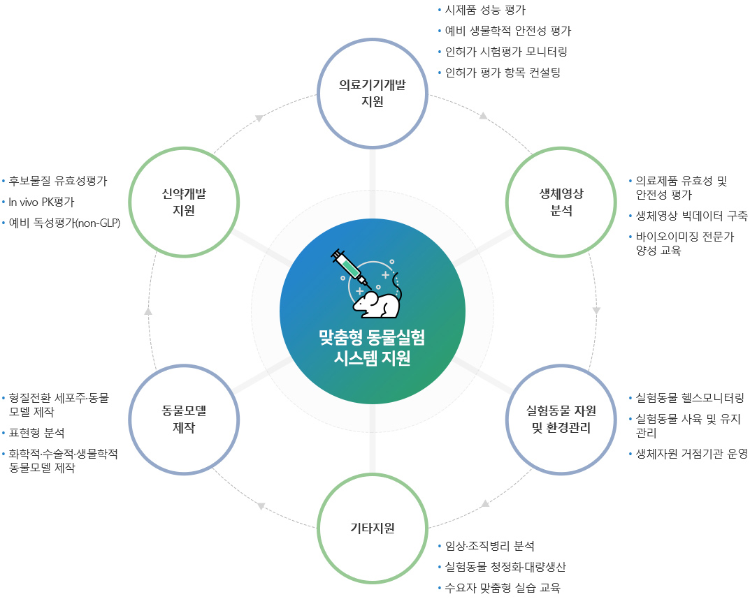 [맞춤형 동물실험시스템 지원] - 의료기기개발지원 : 시제품 성능 평가,예비 생물학적 안전성 평가,인허가 시험평가 모니터링,인허가 평가 항목 컨설팅 / 생체영상분석:의료제품 유효성 및    안정성 평가, 생체영상 빅데이터 구축, 바이오이미징 전문가 양성 교육 / 실험동물 자원 및 환경관리 : 실험동물 헬스모니터링,실험동물 사육 및 유지관리,생체자원 거점기관 운영 / 기타지원 : 임상·조직병리 분성,실험동물 청정화 및 대량생산,수요자 맞춤형 실습 교육 / 동물모델 제작 : 형질전환 세포주 동물 모델 제작, 포현형 분석, 화학적 수술적 동물모델제작 / 신약개발 지원 : 후보물질 유효성평가, In vivo PK평가, 예비 독성평가(non-GLP)